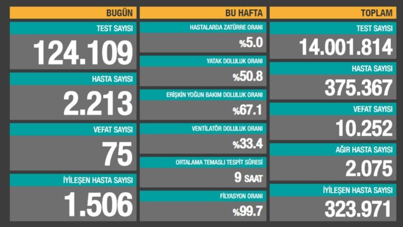31 Ekim Türkiye'nin koronavirüs tablosu
