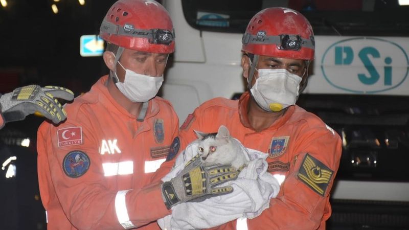 İzmir'de 80 saat sonra bir kedi kurtarıldı