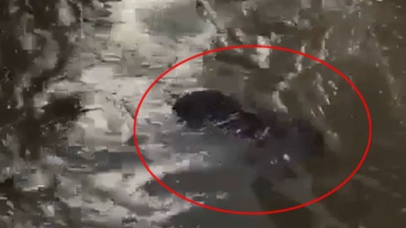 İzmir'de tsunamiye kapılan babaannesini görünce yıkıldı