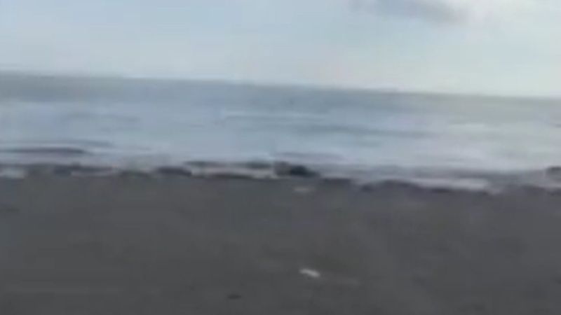 Deprem sırasında Seferihisar'da oluşan dalgalardan kaçan kişiler