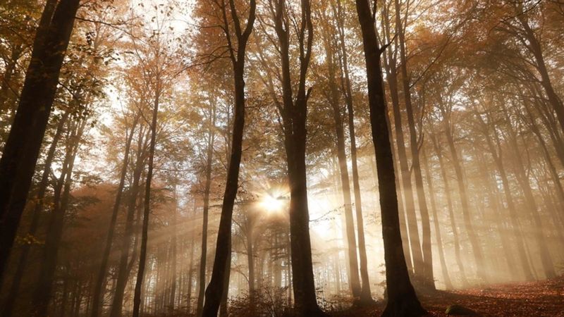 Domaniç Dağları'nın büyüleyen güzelliği