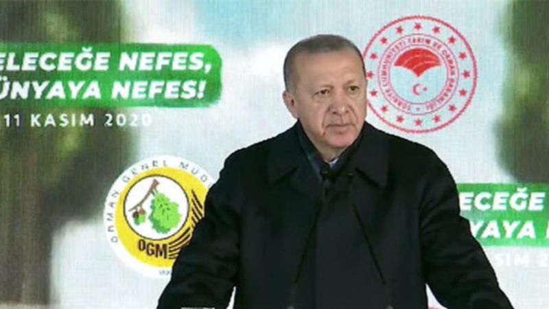 Cumhurbaşkanı Erdoğan: Gezi'de çevre için sokakları yakanlar, fidan seferberliğimizi kötüledi