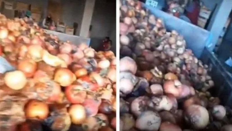 Çürük ve küflü meyvelerden meyve suyu yapıldığı iddiası