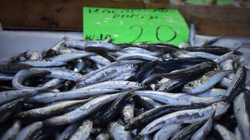 Hamsi, tezgahların yeni gözdesi oldu