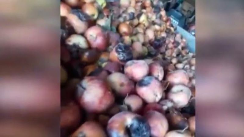 Tarım ve Orman Bakanlığı'ndan 'Çürük elma' görüntüleriyle ilgili açıklama