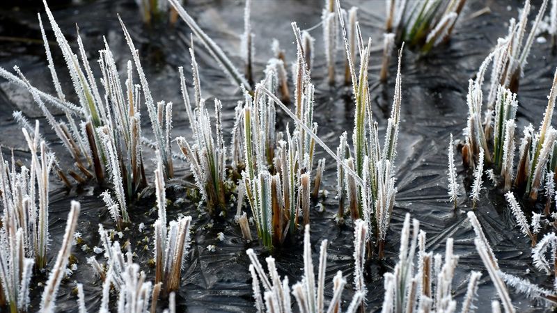 Soğuk hava, Doğu'da etkisini gösterdi