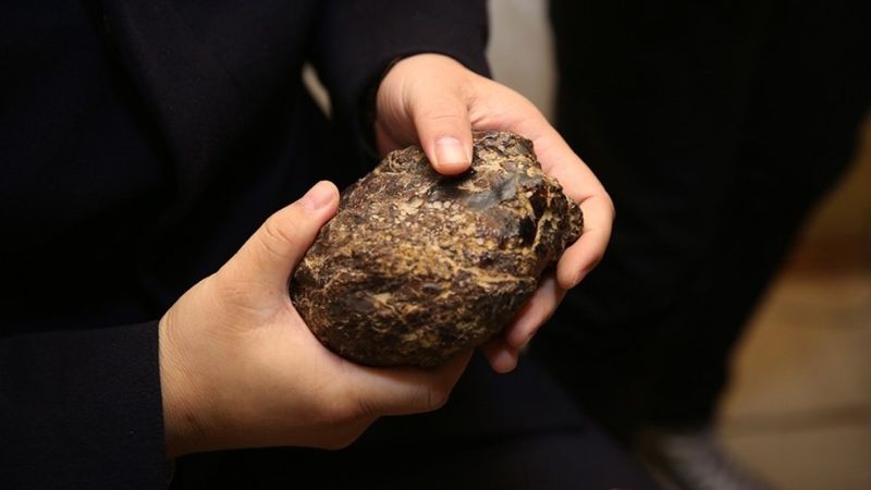 Bayburt kehribarına Çinliler talip oldu