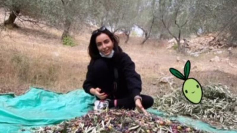Öykü Gürman zeytin hasadında