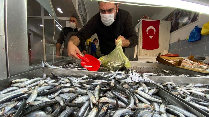 Düzce'de hamsi fiyatları 20 liraya kadar geriledi