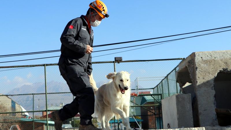 Van'da hassas burun 'Poyraz' can kurtarıyor