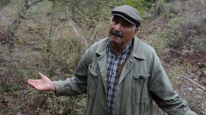 Antalya'da eşeği öldü: Arabayı her yerde bulurum ama eşek bulamam