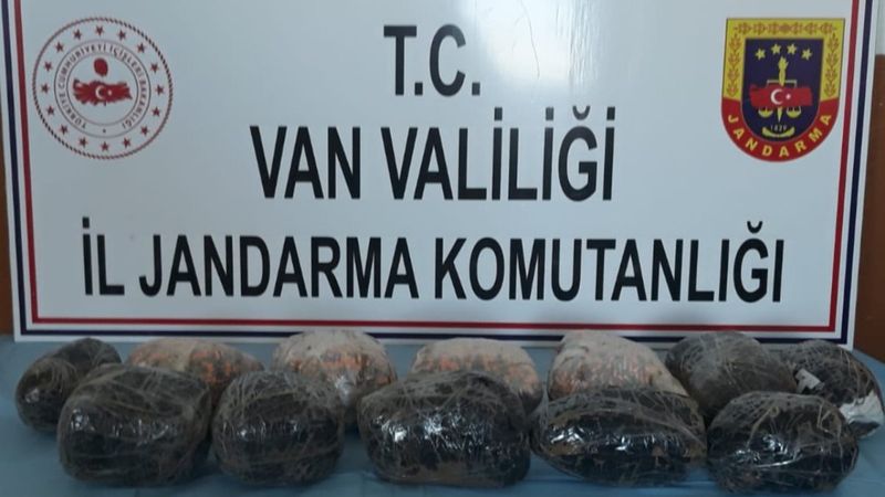 Van'da, 10 kilo sentetik uyuşturucu hap bulunduran 1 şüpheli gözaltında