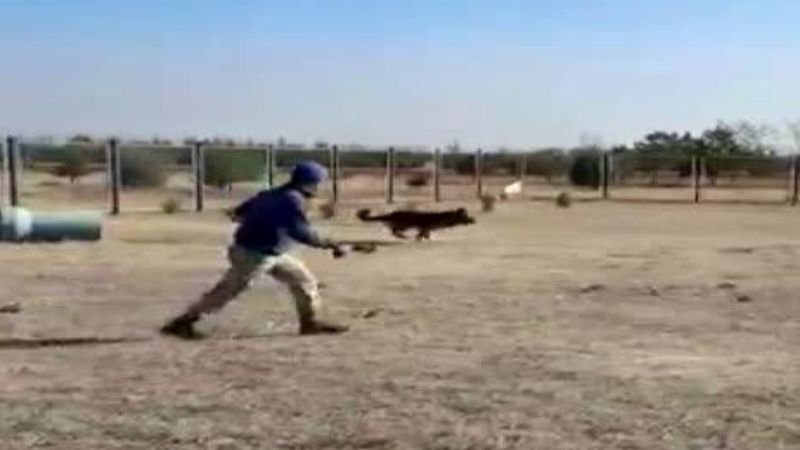 MSB’den 'Onlar bizim can dostumuz' paylaşımı