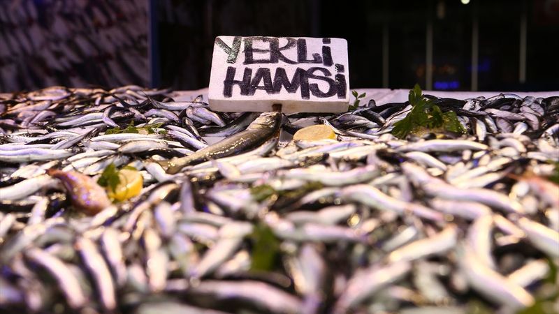 Karadeniz'de hamsi bolluğu, yüzleri güldürdü