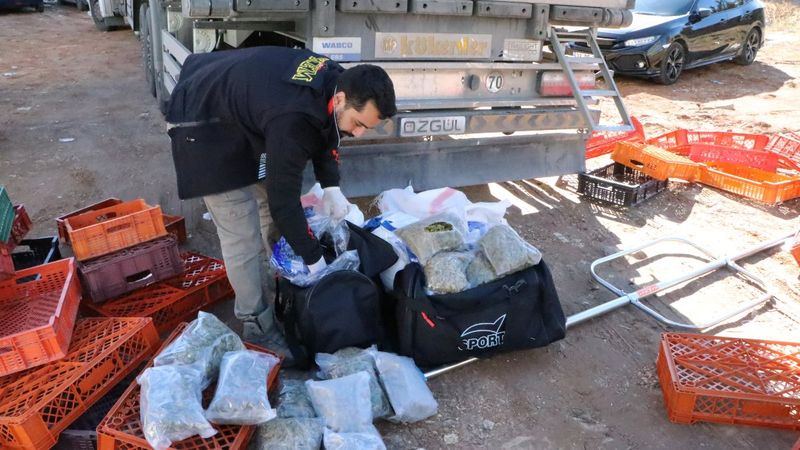 Şanlıurfa'da tırdaki meyve kasaları arasında uyuşturucu ele geçirildi