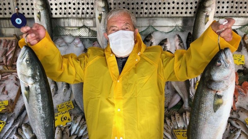 Denizlerde kofana bereketi yaşanıyor