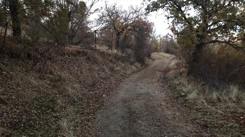 Elazığ'da işitme engelli genç yanlışlıkla 4 kişiyi yaraladı