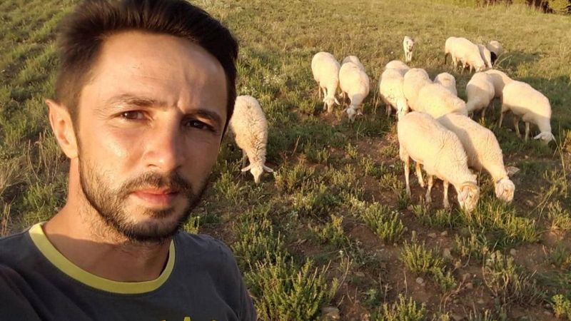 Denizli'de çobanın köpeğini saçmayla yaraladılar