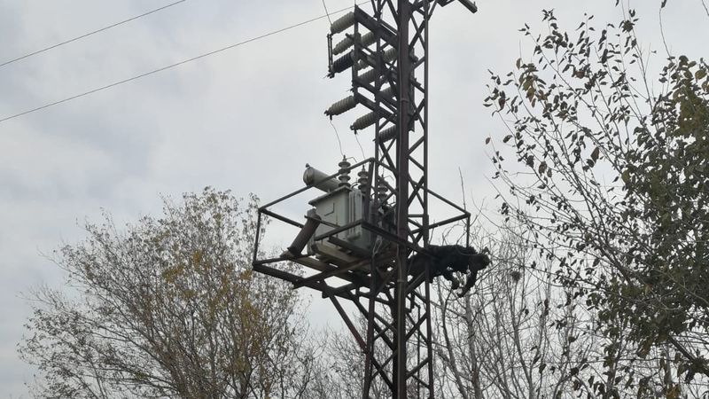 Afyonkarahisar'da trafo üzerinde yanmış halde bulundu