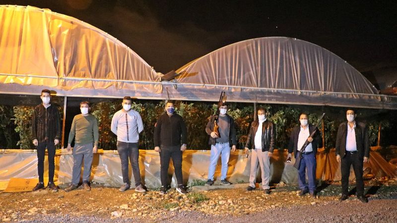 Antalya’da çiftçiler domates hırsızlarına karşı gece nöbeti tutuyor