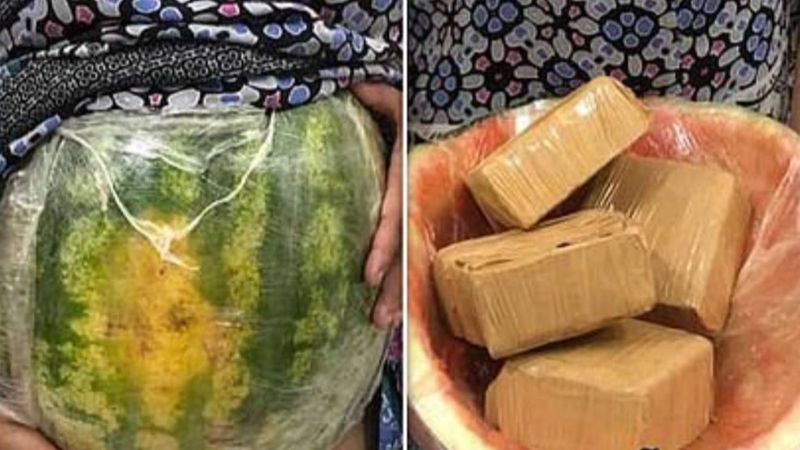 Brezilya'da uyuşturucu koyduğu karpuzla, kendisini hamile gibi gösterdi