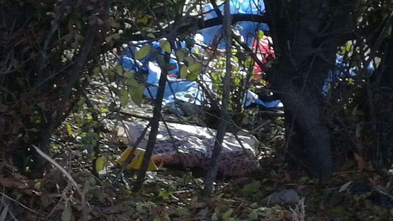 Malatya'da çalılıkların arasından bebek cesedi çıktı