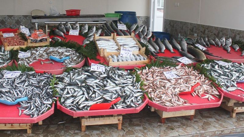 Tekirdağ'da balıkçıdan 10 bin TL değerinde çinekop çalındı