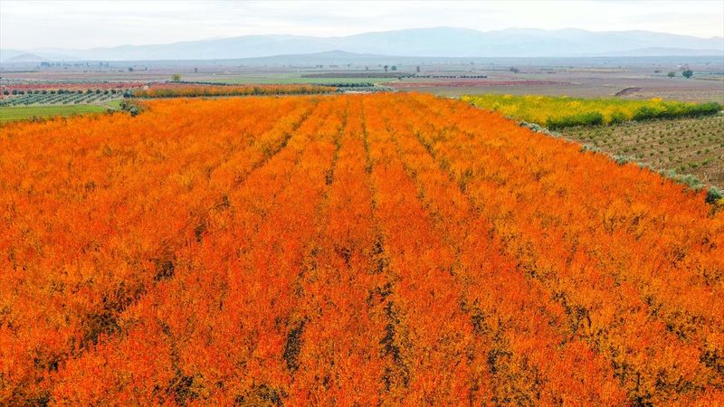 Amanos Dağları'ndan kartpostallık görüntüler