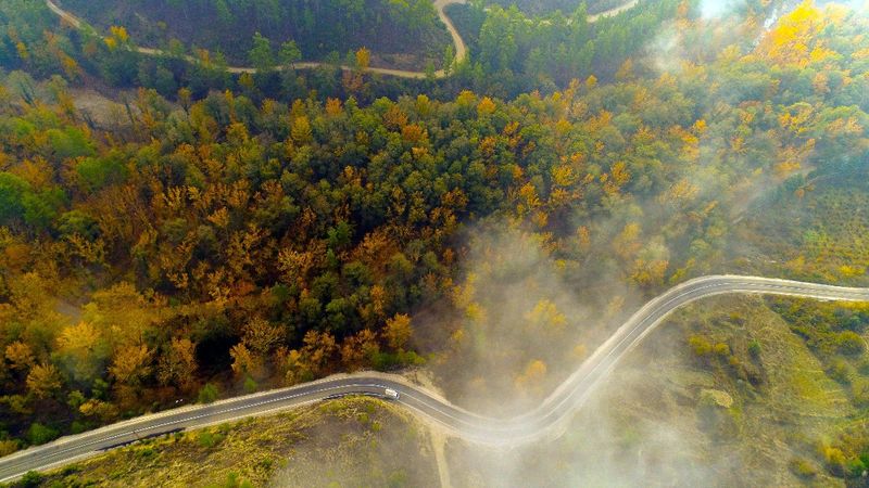 Isparta'da özel izinle girilen orman, sonbahara teslim oldu