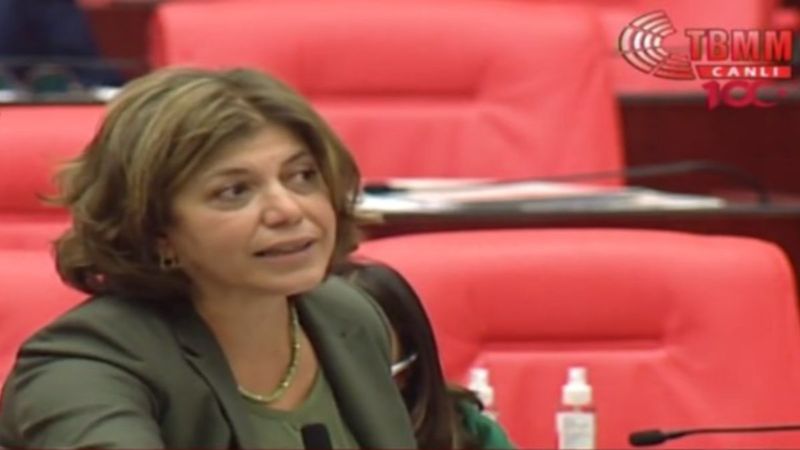 Meral Danış Beştaş: Tuma Çelik suçludur diyemezsiniz