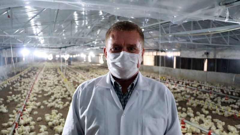 Adana'da hayvanlara yapılan korona aşısı, olumlu tepki verdi