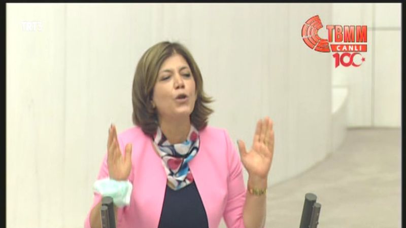 Meral Danış Beştaş: HDP'nin bu ülkeyi bölmeye niyeti yok