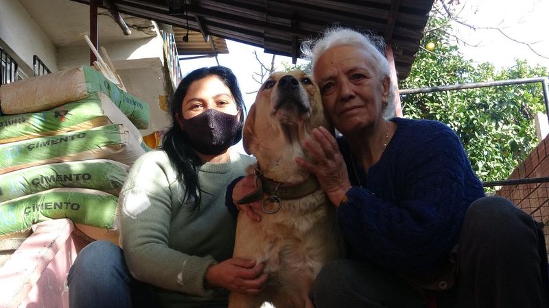 Aydın'da oğlu boğularak ölünce, yaşamını hayvanlara adadı