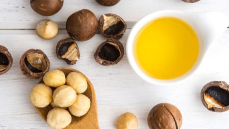 Cadı fındığı nedir, faydaları nelerdir? Cadı fındığı yağı nasıl kullanılır?