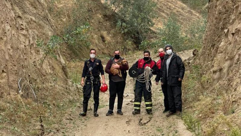 Aydın'da yamaçta mahsur kalan köpeği itfaiye kurtardı