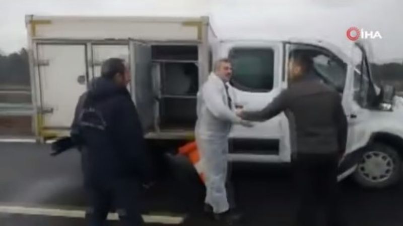 Gebze Belediyesi: İBB hayvanları toplayıp bölgemize bırakıyor