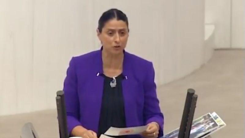 HDP'li Feleknas Uca: Türkiye Şengal’i bombaladı