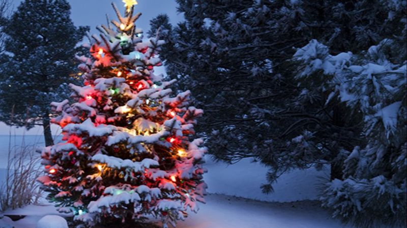 Yılbaşı ile Noel arasında ne fark vardır? Yılbaşı ağacı süslemenin anlamı nedir?