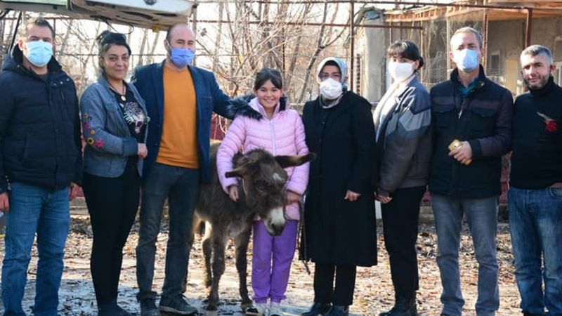 Kahramanmaraş'ta işkenceye uğrayan eşek İzmir'e gönderildi