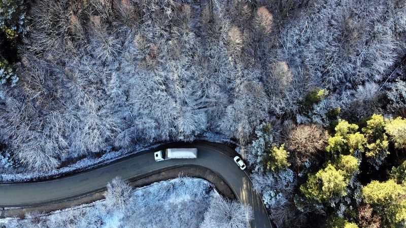 Bolu'da sonbahar yaprakları, karla buluştu