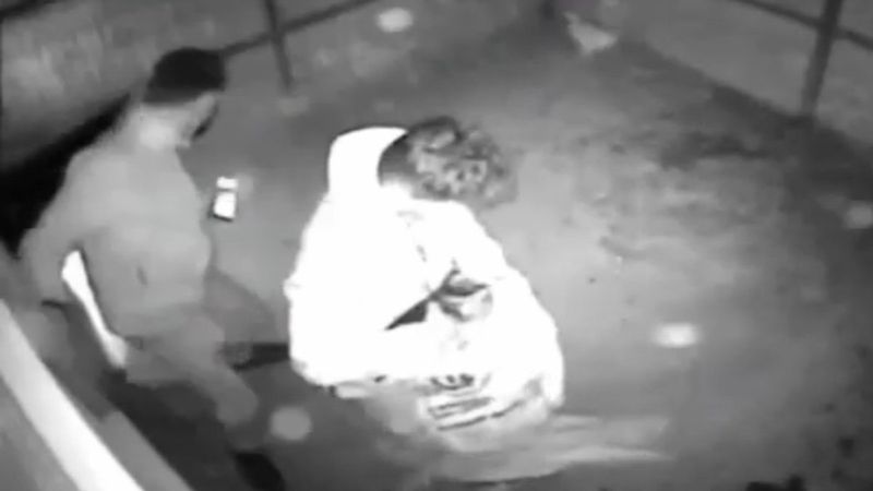 Bursa'da tavuk hırsızlığı