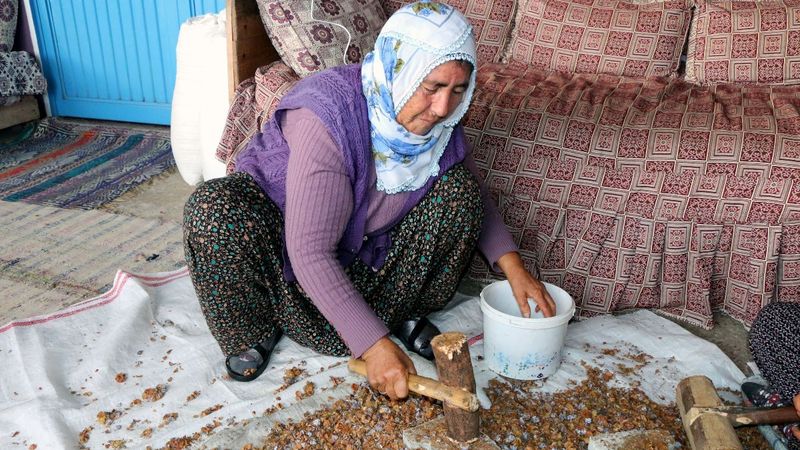 Adanalı anne, andız pekmeziyle 2 çocuk okuttu