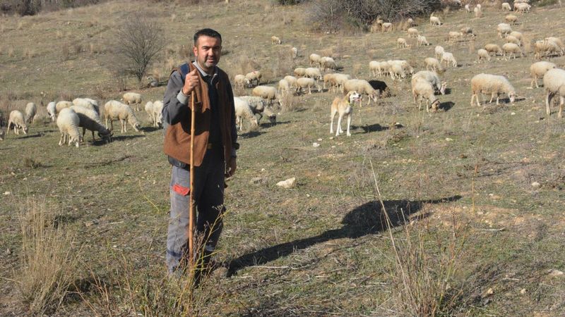 İstanbul'daki yönetici, koronavirüsten sonra Bilecik'e yerleşti