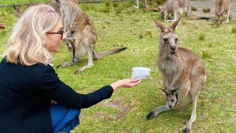 Zerrin Tekindor elleriyle kanguru besledi