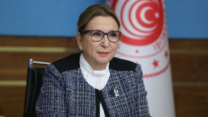 Ruhsar Pekcan: Esnaf ve sanatkarların destek başvuruları başlıyor