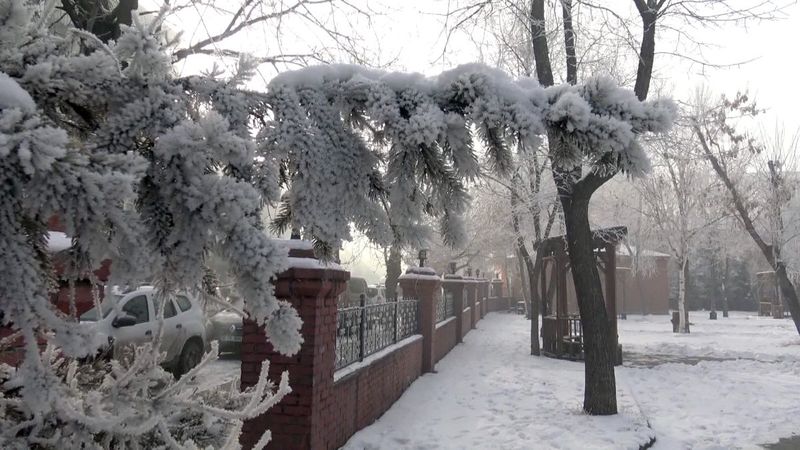 Ardahan’da termometreler eksi 25 dereceyi gördü
