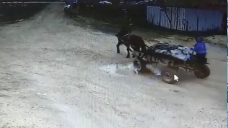 Tekirdağ'da at arabasıyla hırsızlık kamerada