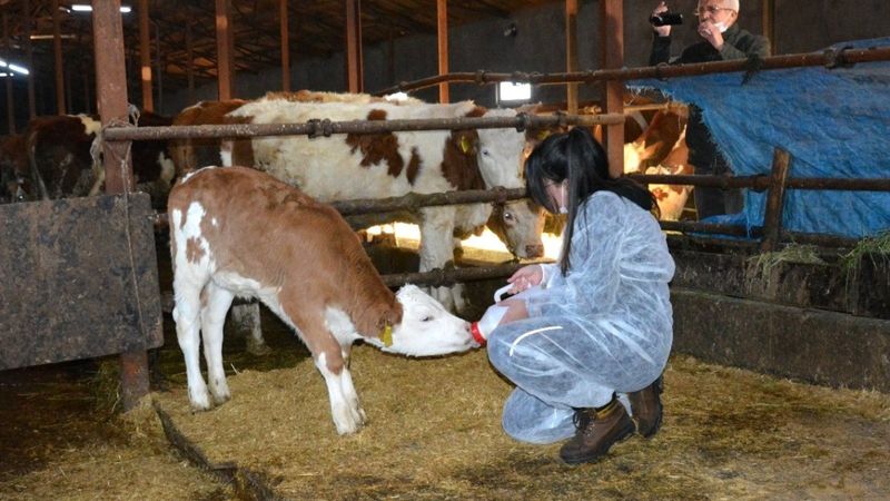 Erzincan'da 12 yaşındaki kız, harçlıklarıyla çiftçiliğe atıldı