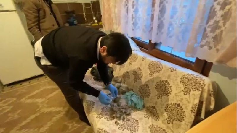 Beyoğlu'nda uyuşturucu operasyonu: 1 tutuklama