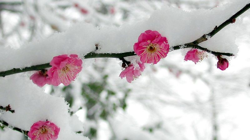 Cemre düşmesi nedir? İlk Cemre ne zaman düşecek 2021?